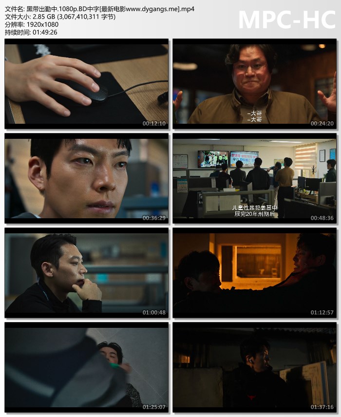 2024动作喜剧《黑带出勤中》1080p.BD中字迅雷下载