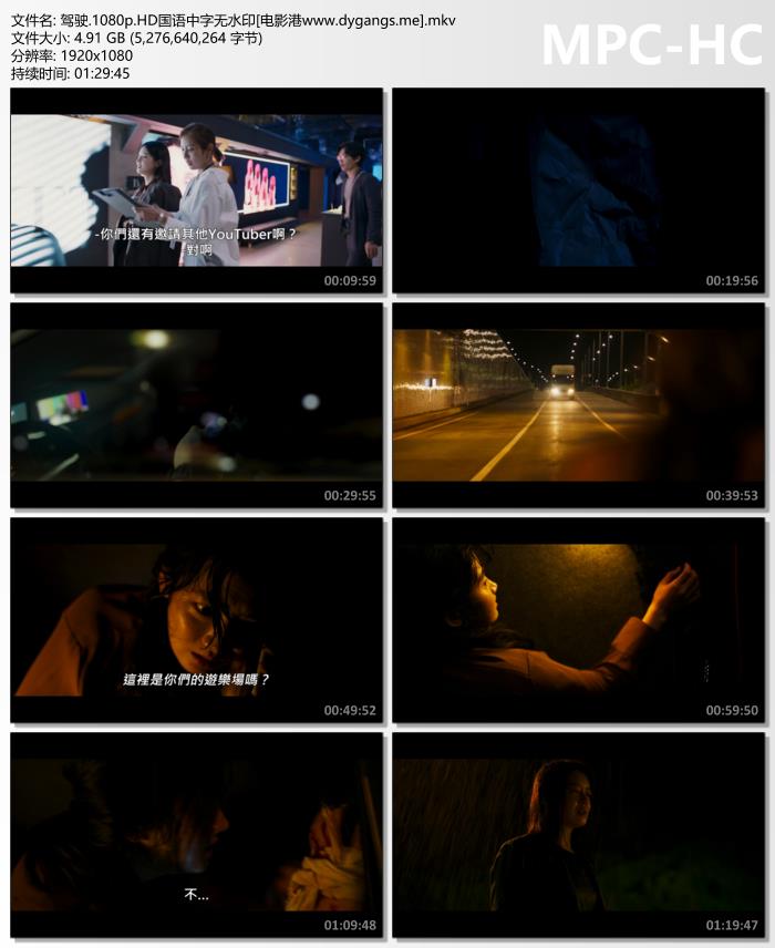 2024惊悚《驾驶》1080p.HD中字迅雷下载