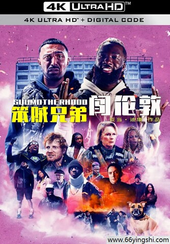 2024喜剧动作《笨贼兄弟闯伦敦》1080p.BD中英双字迅雷下载