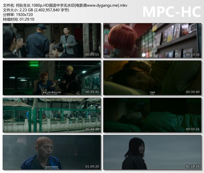 2024剧情《何处生长》1080p.HD国语中字迅雷下载