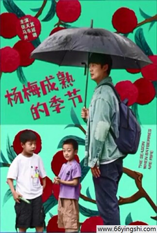 2024剧情《杨梅成熟的季节》1080p.HD国语中字迅雷下载