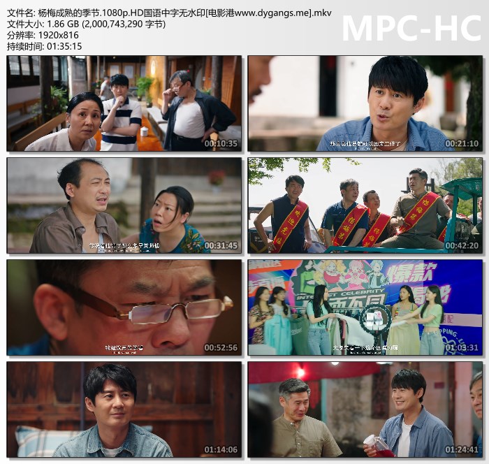 2024剧情《杨梅成熟的季节》1080p.HD国语中字迅雷下载